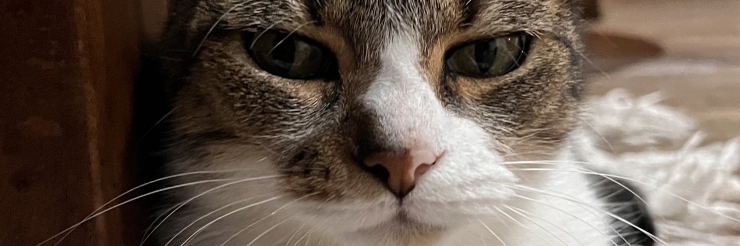 _anamarco__'s profile banner image