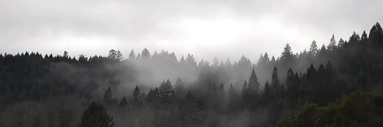 HΞRZY.eth 🎧 Web3 Music Lab OPEN banner