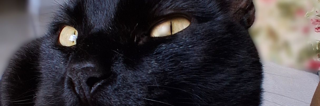 Belfrr's profile banner image