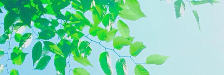 i_boxman's profile banner image