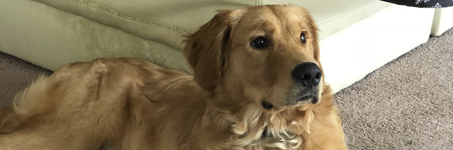 cassidyytrause's profile banner image
