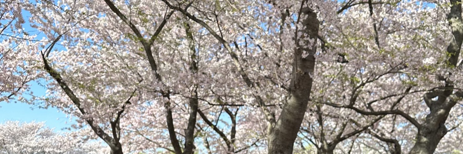 Reginiux's profile banner image