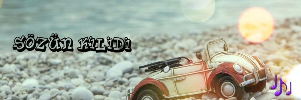 sozunkilidii's profile banner image