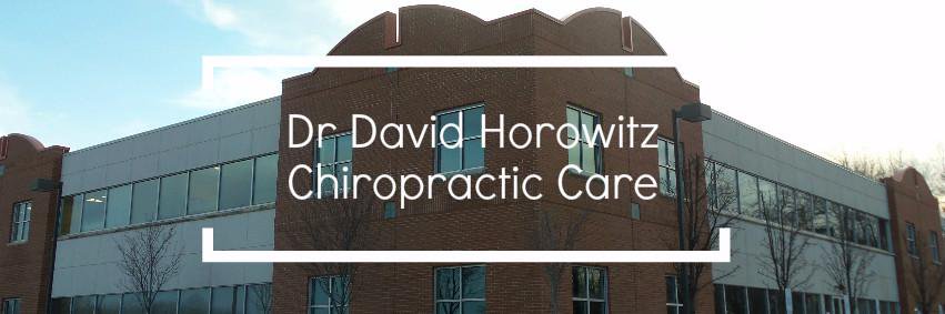 DrDavidHorowitz's profile banner image