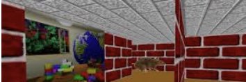 cgescoto's profile banner image