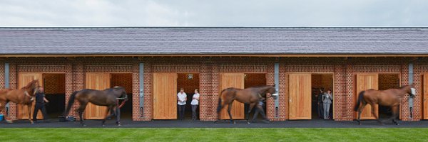 AnneCMarkey Profile Banner