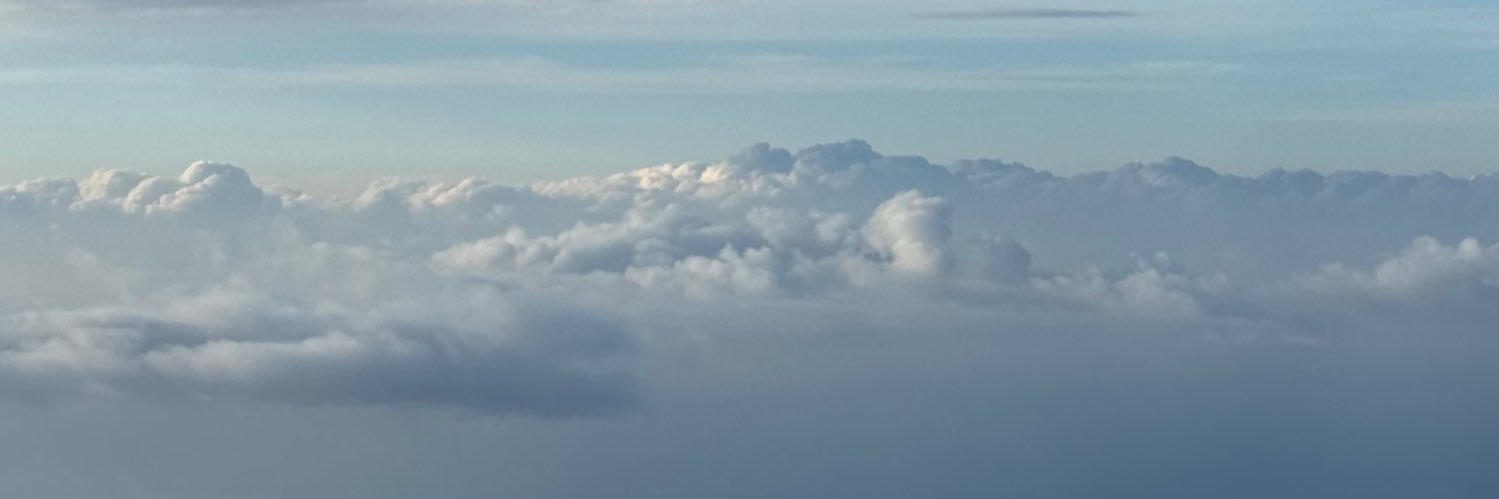 NataFridman's profile banner image