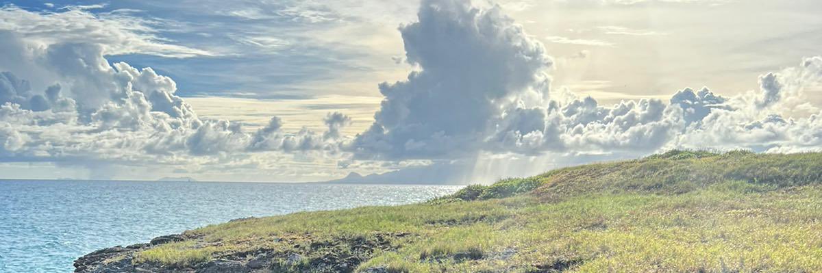 Tidede9's profile banner image