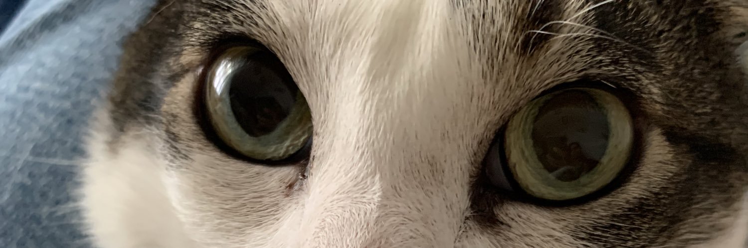 hoemiessexual's profile banner image