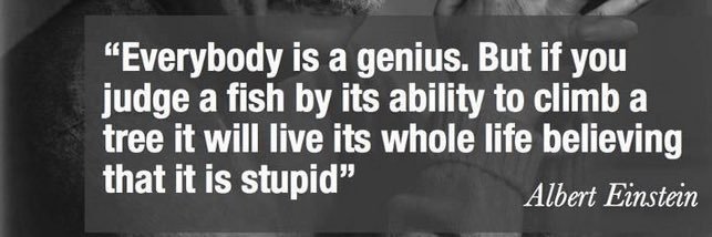 Dr. Kate Sweeney banner