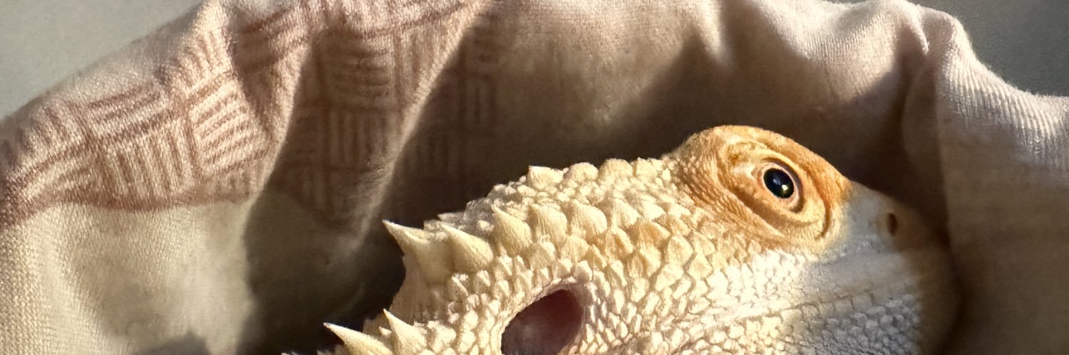 Bistoram's profile banner image