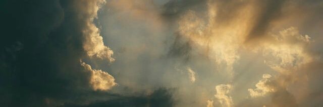 Eenas_Hady's profile banner image
