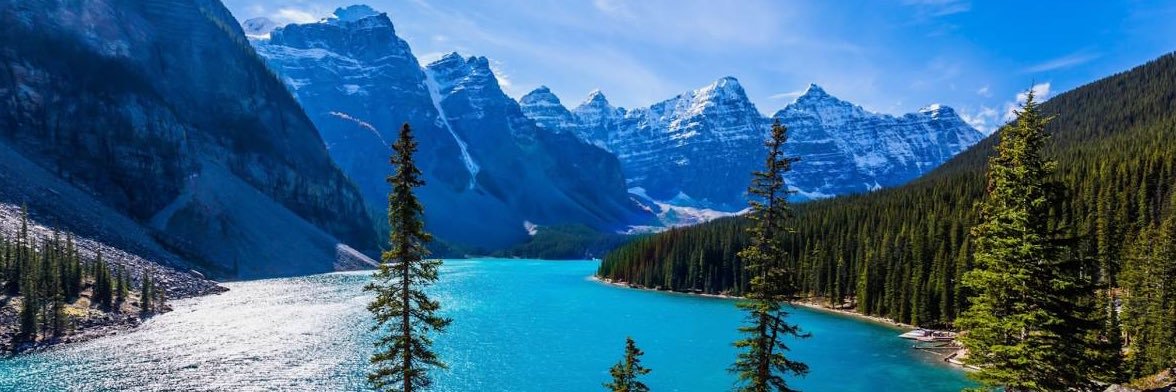 Nasty_Canuck! 🍁 banner