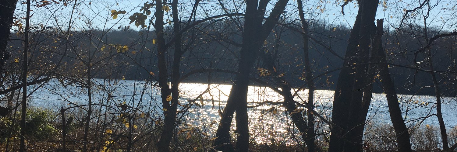 Sandra Purohit banner