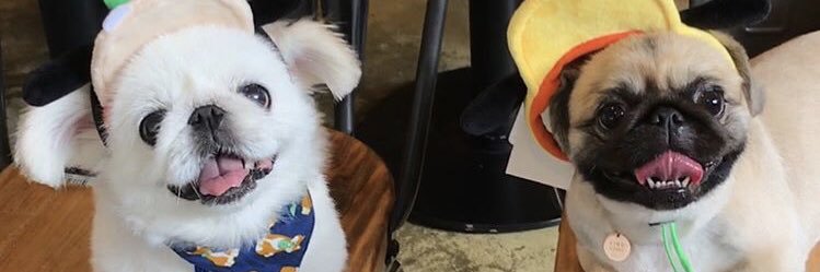Charkette's profile banner image