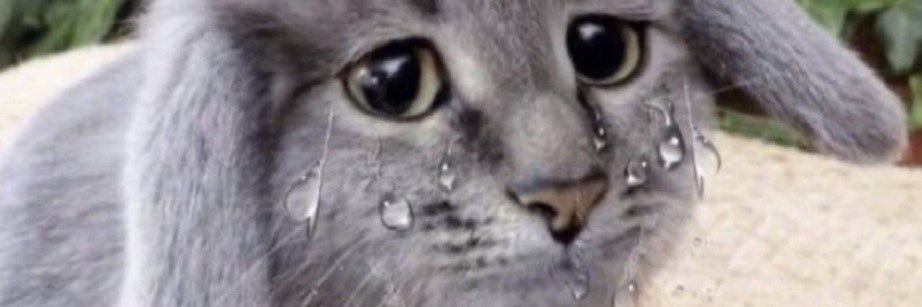 macaronpikachu's profile banner image