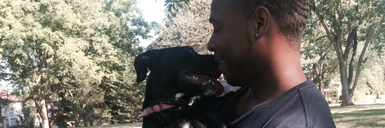meg_yetsko's profile banner image