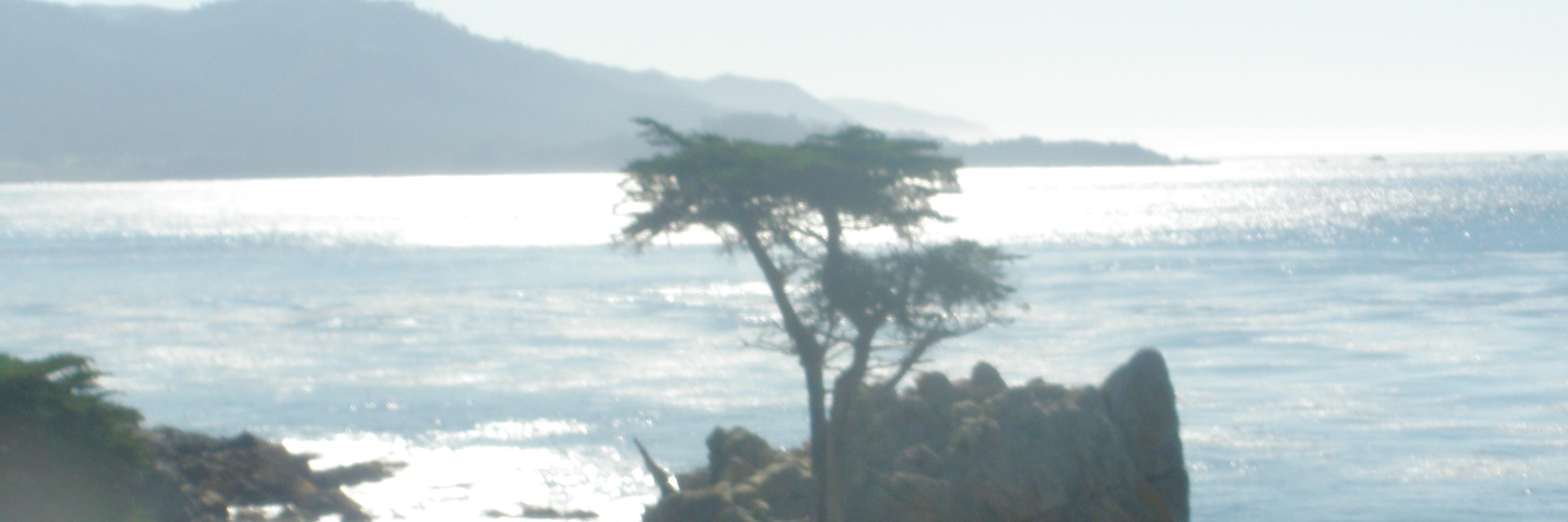 Ljjacobs221's profile banner image