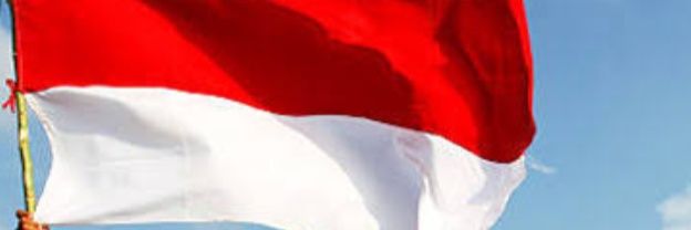 Timoroinlasi's profile banner image