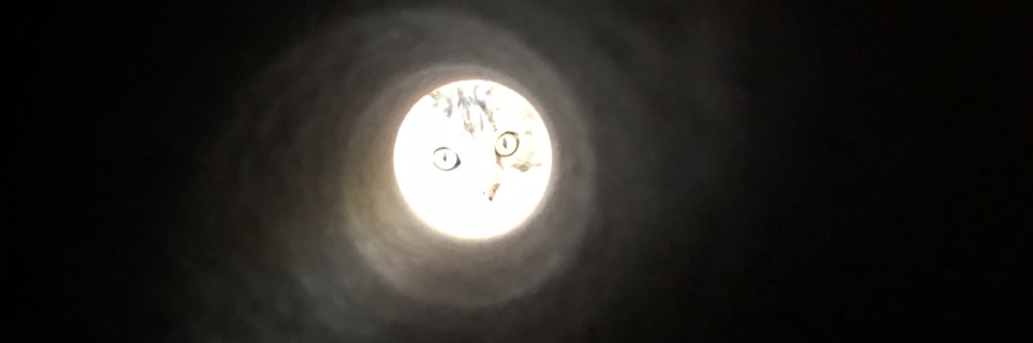 sambeewrites's profile banner image
