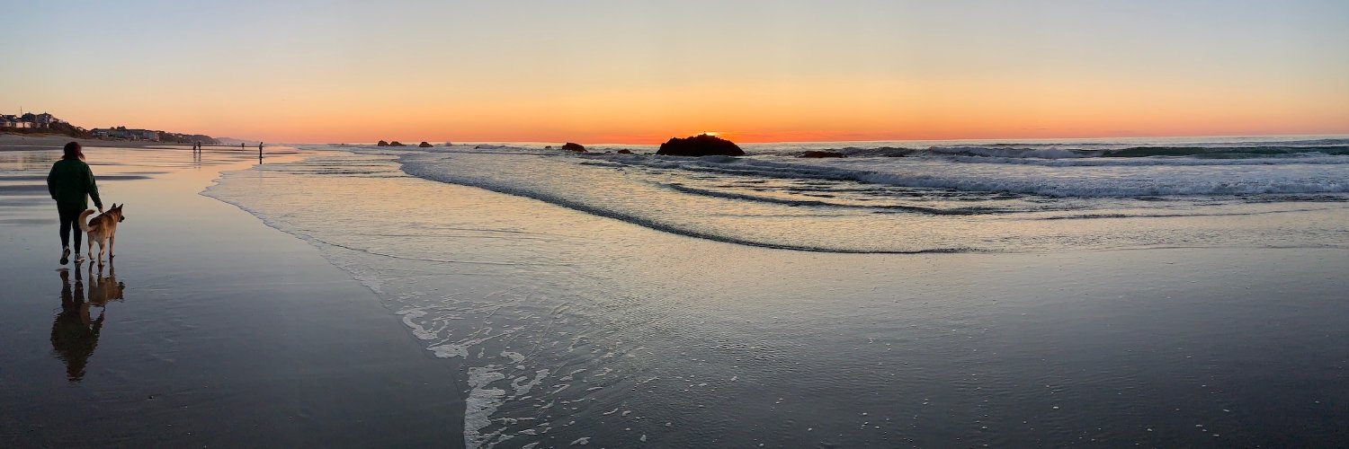 Ginger Coolidge banner