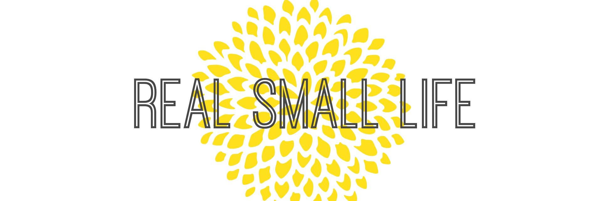RealSmallLife's profile banner image