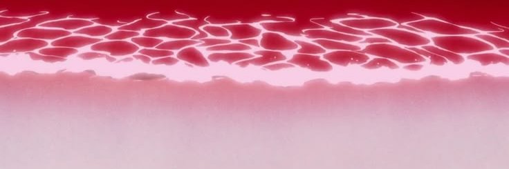 ؘ banner