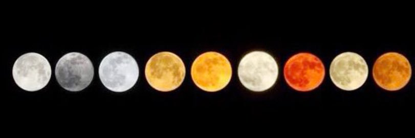 EmmaEThomson1's profile banner image
