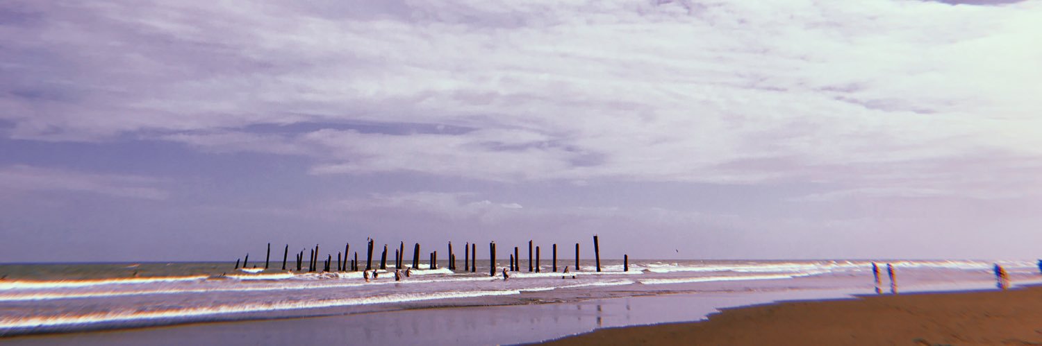 CeliaVegetal's profile banner image