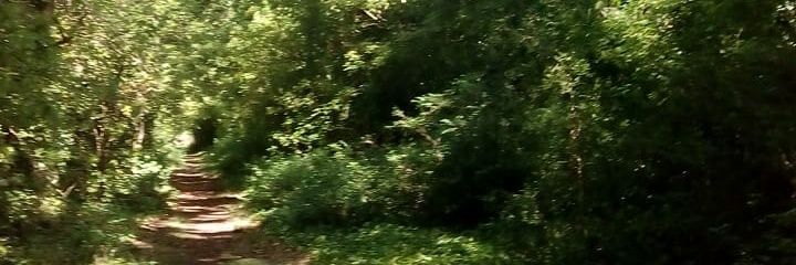 rodriguez_io's profile banner image
