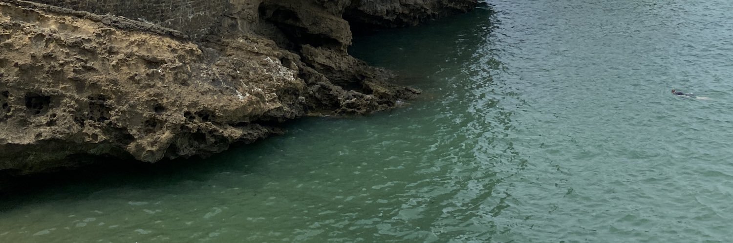 𝐦𝐚𝐫𝐢𝐚𝐧𝐧𝐞 banner