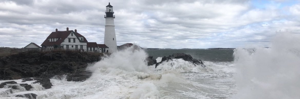 Cara Brown McCormick banner