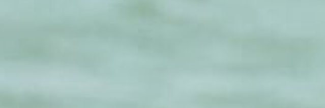 jessNYCD's profile banner image