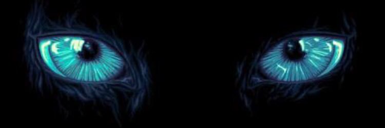 raveolution's profile banner image