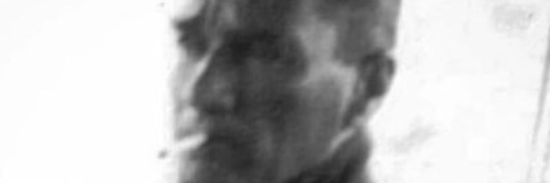 DToklu's profile banner image