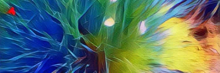 guidedwanderlin's profile banner image