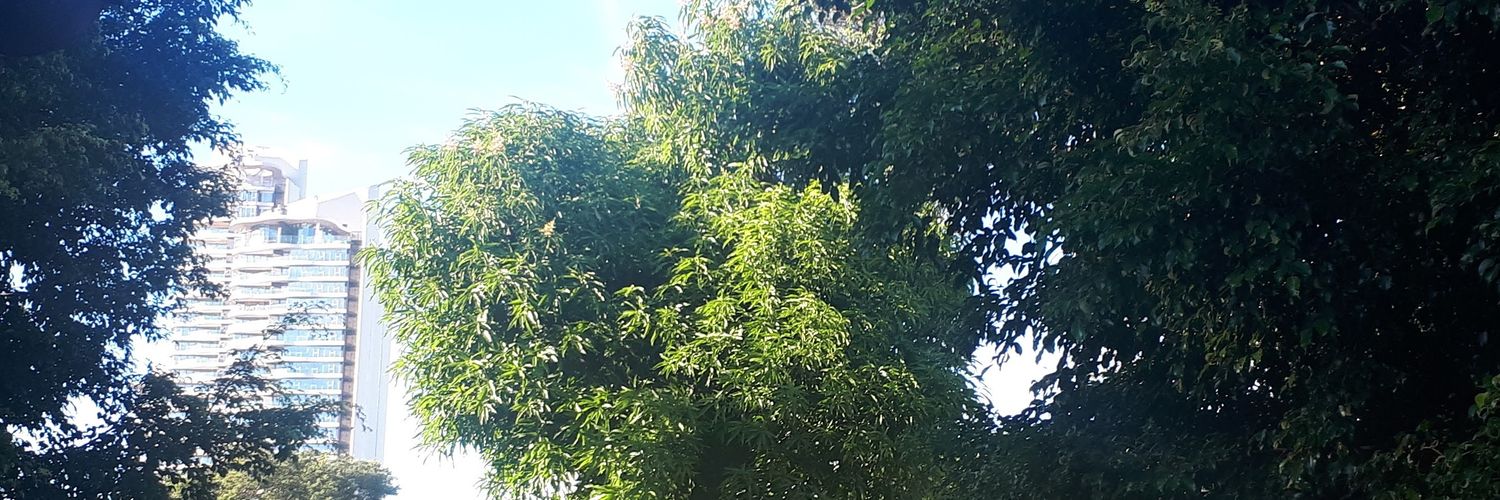 hermida_mia's profile banner image