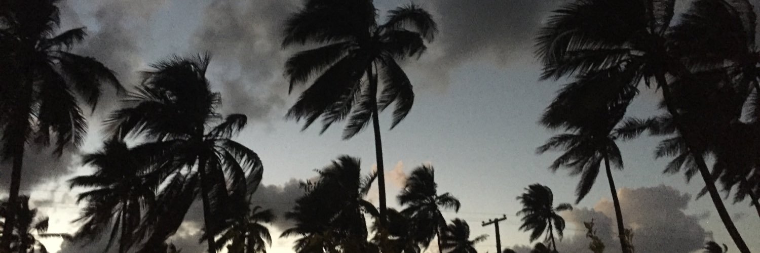 Emilyrose329's profile banner image