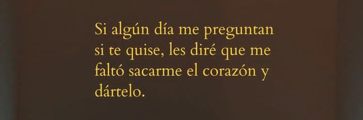 R E G I N A ♡ banner