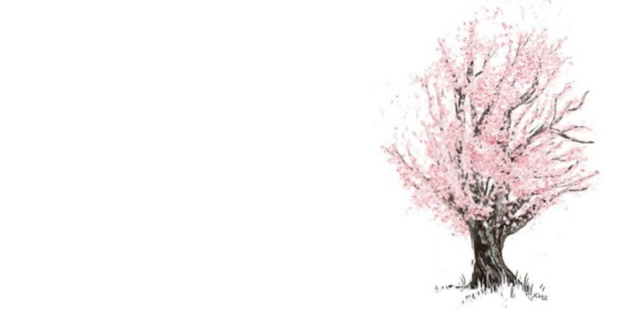 AlejosAndre's profile banner image