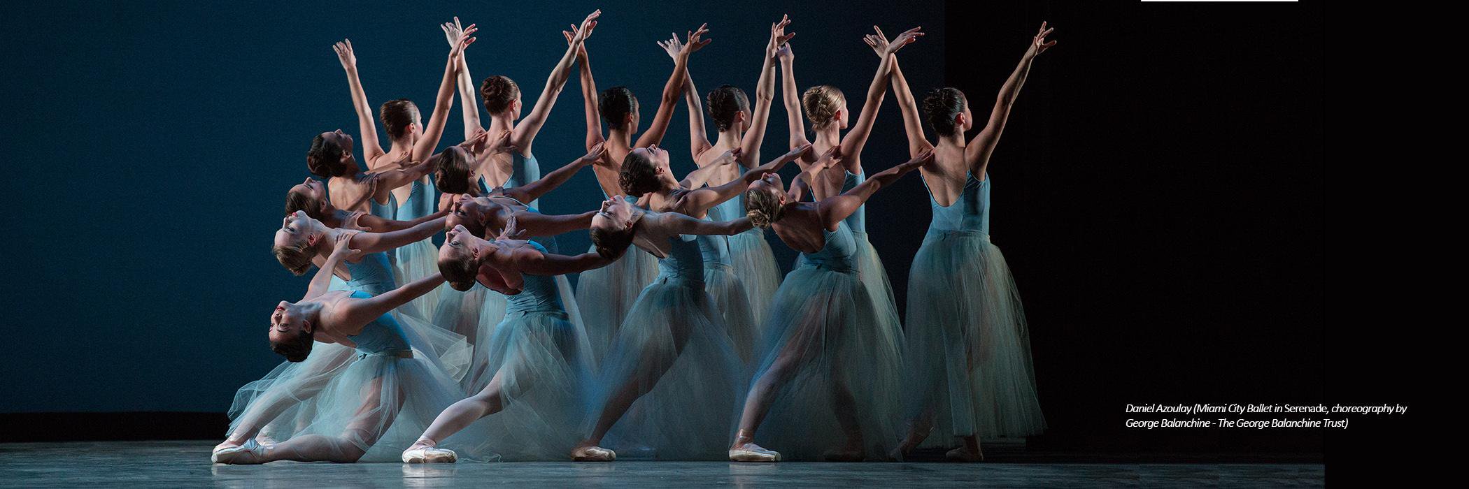 DeVos Institute banner