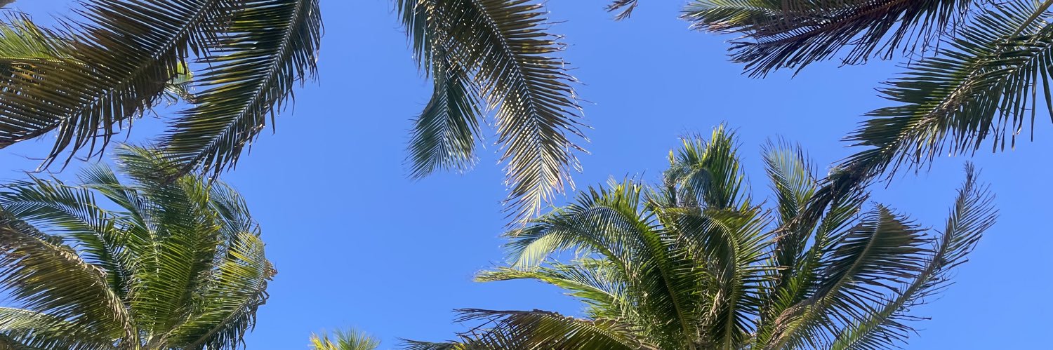FerCortesMdz's profile banner image