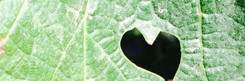 JSplettstoesser's profile banner image