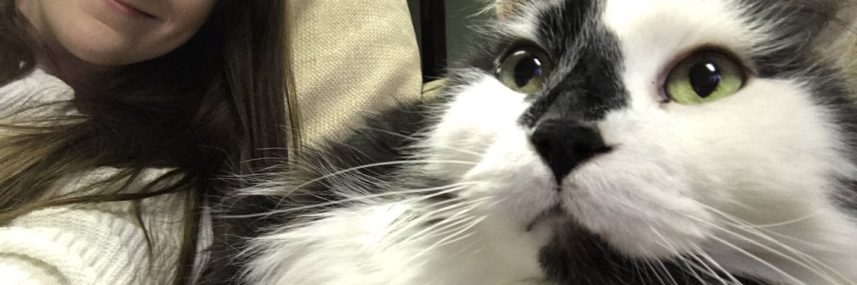 ginarenee26's profile banner image