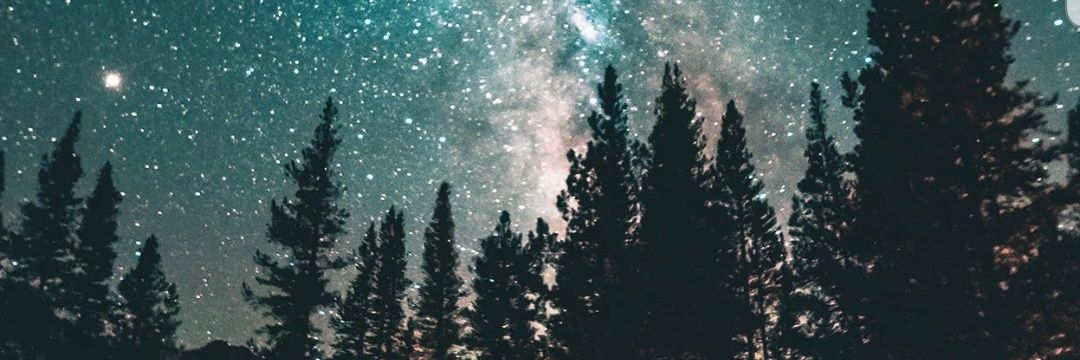 Sofia ✨🌜 banner