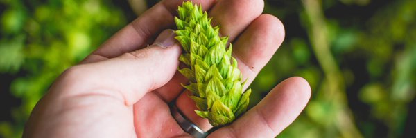 crazyhorsehops Profile Banner