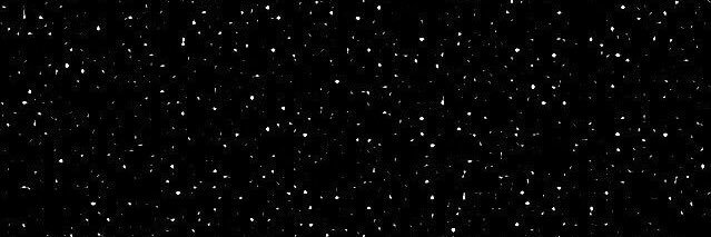 leti⁷ Ψ 🍉 banner