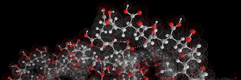 polybiomat's profile banner image