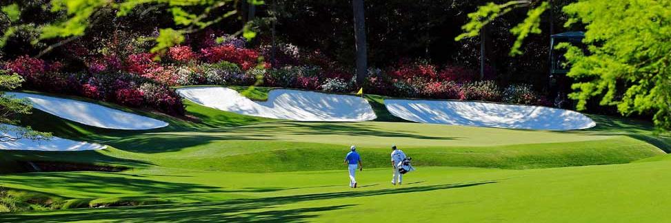 Mark from 🦬 banner