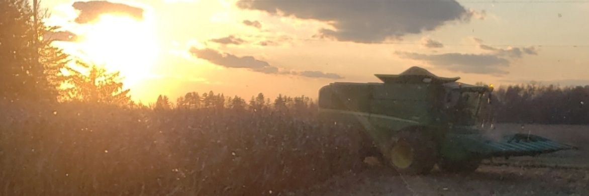 SeamanTyler's profile banner image